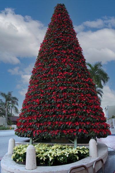 00158015dceb17 d482 5aeb ebc6f27d4799d2b